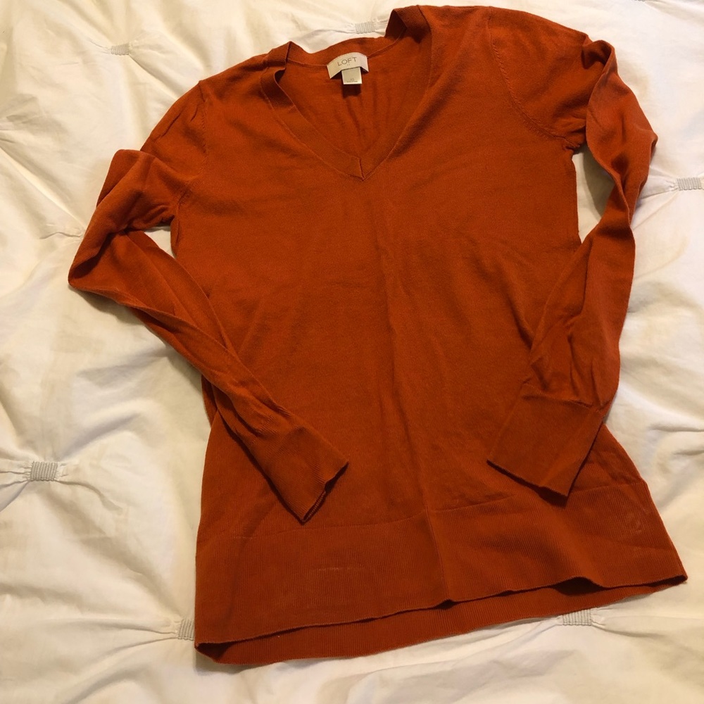 Loft V-neck sweater